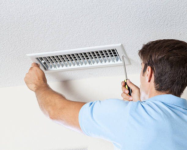 Best Mold Odor Removal Services  in Queen Anne, MD